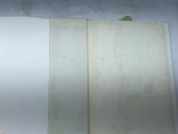 純粋なるもの 河出書房新社 島 朗