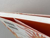 本能寺の変 真説 集英社 安部 龍太郎