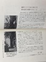 春日局の旦那さんの場合: 真岡城主稲葉正成公秘伝 健友館 田村 豊幸