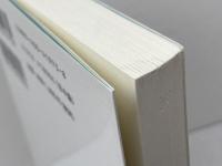 心の病いとその救い 新教出版社 富坂キリスト教センター