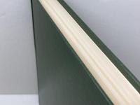 実効的基本権保障論 信山社 笹田 栄司