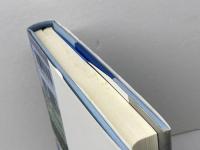 漁村異聞: 海辺で暮らす人びとの話 ドメス出版 川口 祐二