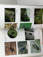 但馬の自然 (のじぎく文庫) 神戸新聞総合印刷 兵庫県生物学会但馬支部