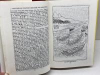 洋書　Outlines of Chinese Symbolism and Art Motives　中国の象徴と芸術の動機の概説　C.A.S. WILLIAMS　敦煌書局