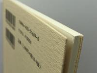 改革教会における霊性: 霊的共同体再建のために (大森講座 15) 日本キリスト教会大森教会 東野 尚志