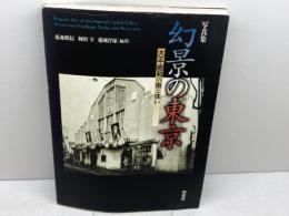 幻景の東京: 写真集 大正・昭和の街と住い 柏書房 藤森 照信