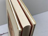 八段の上九段の下 講談社 芹澤 博文