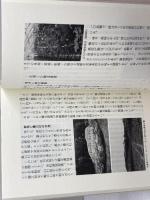 播磨の地理 人文編: 町と産業と交通路 (のじぎく文庫) 神戸新聞総合印刷 田中 眞吾