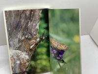 播磨の昆虫 (のじぎく文庫) 神戸新聞総合印刷 相坂 耕作