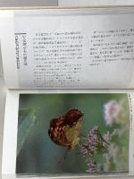 ひょうご昆虫ウォッチング 森への招待 のじぎく文庫 神戸新聞社 神戸新聞総合出版センター 兵庫県 昆虫