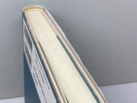 牧会書簡の神学 (叢書新約聖書神学 11) 新教出版社 F. ヤング