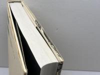 イエス運動: ある価値革命の社会史 新教出版社 ゲルト タイセン