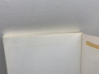 Writing Your Own Scripts and Speeches for Corporate Television, Audio-Visual, and Live Presentations Suzan  St. Maur,