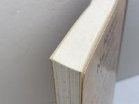 洋書　History of New Testament Literature Trinity Pr Intl 　 Georg　Strecker