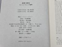 世界の終焉: 今ここにいることの論理 青土社 ジョン レスリー