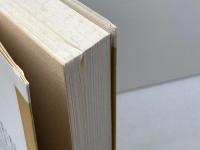 共生の技法: 宗教・ボランティア・共同体 (海鳥ブックス 19) 海鳥社 竹沢 尚一郎