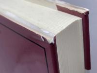 柔らかなカント哲学 (哲学叢書) 晃洋書房 平田 俊博