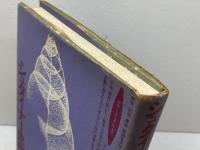 シュタイナー思想入門 (ロサ・ミスティカ叢書) 水声社 西川 隆範