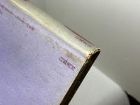 シュタイナー思想入門 (ロサ・ミスティカ叢書) 水声社 西川 隆範