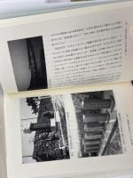 排除する社会・受容する社会: 歴博フォーラム 現代ケガレ論 吉川弘文館 関根 康正