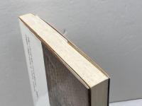 ファンダメンタリズムとは何か: 世俗主義への挑戦 新曜社 井上 順孝