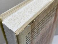 Ancient Christian Gospels（古代キリスト教福音書）Their History and Development SCM Press Koester, Helmut