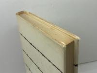 新訳聖書 (現代神学の焦点 6) 新教出版社 ギュンター ボルンカム