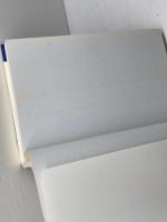 将棋・端攻め全集 増補改訂版 (パーフェクトシリーズ) マイナビ出版(日本将棋連盟) 大内 延介