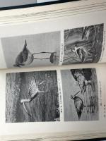 干潟の生物観察ハンドブック: 干潟の生態学入門 (自然科学への招待) 東洋館出版社 秋山章男