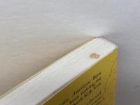 グラフィックノベル　American Born Chinese First Second Yang, Gene Luen