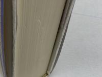 アレクサンドロス大王 その戦略と戦術 ホーム社 パーサ・ボース