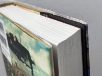 ヴィジュアル版 「決戦」の世界史 歴史を動かした50の戦い 原書房 ジェフリー・リーガン