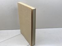 中盤攻防の手筋 新装 (囲碁有段シリーズ) 山海堂 二口 外義