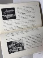 二十世紀モード: 肉体の解放と表出 (講談社選書メチエ 29) 講談社 能澤 慧子
