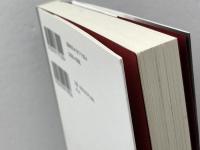 宇沢弘文の数学 青土社 小島寛之