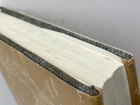 静かな大地: 松浦武四郎とアイヌ民族 岩波書店 花崎 皋平