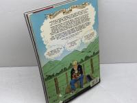 洋書　グラフィックノベル　Hicksville　　victoria university press  Dylan Horrocks