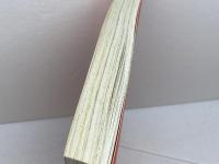 洋書　criminal justice through the eges　時代の変遷に伴う刑事司法　Mediaeval Crime Museum　中世犯罪博物館