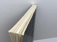 洋書　The Presentations Kit 　10 Steps for Selling Your Ideas John Wiley &Sons Wilder, Claudyne