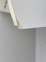 ドイツ近代史: 18世紀から現代まで ミネルヴァ書房 木谷 勤