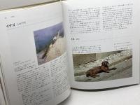 聖書動物事典 カラー版 教文館 ピーター フランス