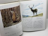 聖書動物事典 カラー版 教文館 ピーター フランス