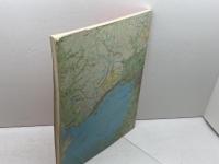 洋書　 The Hyogo-Ken Nanbu Earthquake preliminary  reconnaissance report Earthquake Engineering Research Insutitute