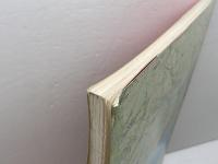 洋書　 The Hyogo-Ken Nanbu Earthquake preliminary  reconnaissance report Earthquake Engineering Research Insutitute