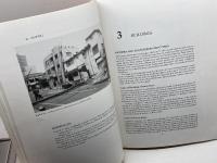 洋書　 The Hyogo-Ken Nanbu Earthquake preliminary  reconnaissance report Earthquake Engineering Research Insutitute