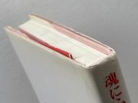 魂にふれるイコン: 絶対者に向けて開かれた窓 (serica books) せりか書房 ミシェル クノー