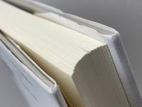 中国戦線はどう描かれたか: 従軍記を読む 岩波書店 荒井 とみよ