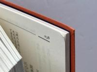 哲学の歴史 4 15-16世紀 中央公論新社 伊藤 博明