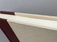 美と合目的性: カント判断力批判の批判的蘇生 (哲学叢書) 晃洋書房 ギュンター ペルトナー