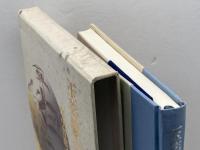 玉も鎮石: 山中智恵子歌集 砂子屋書房 山中 智恵子